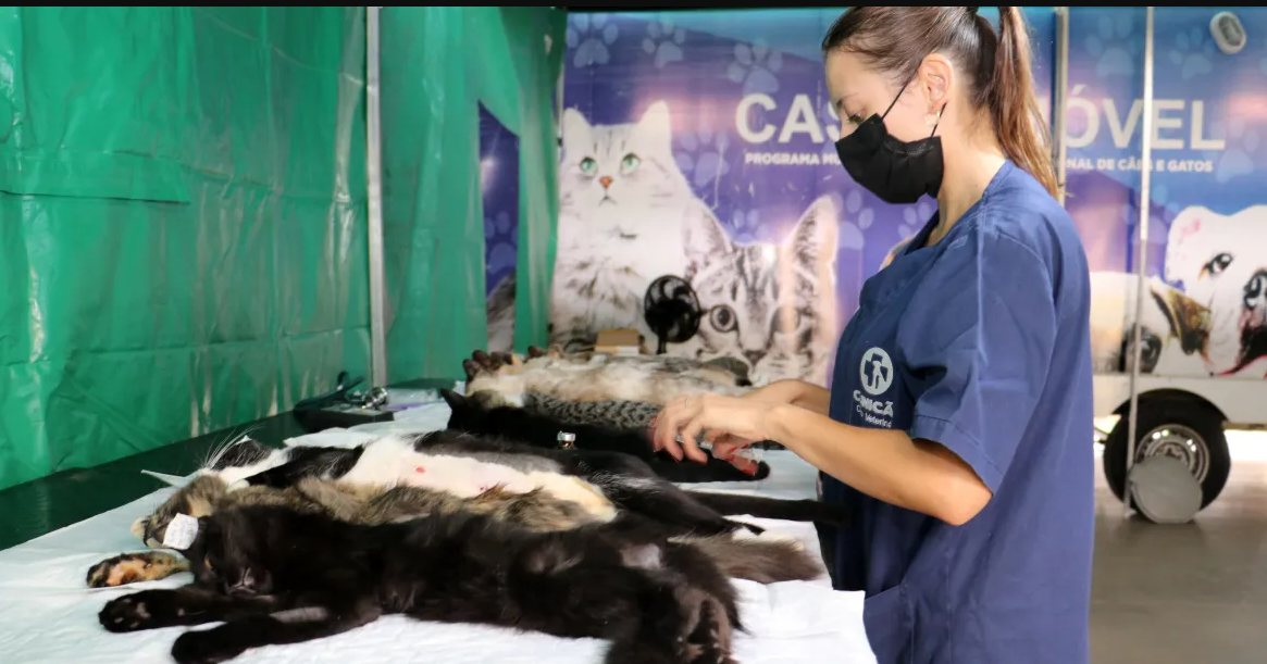 imagem sem descrição.