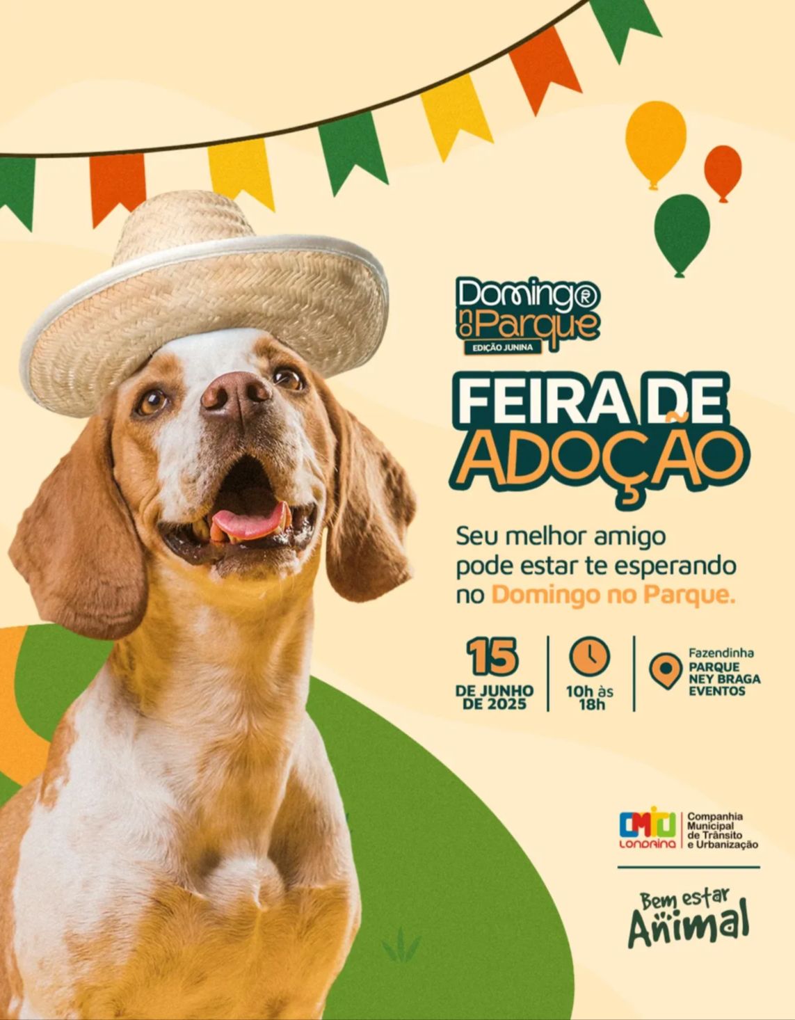 imagem sem descrição.