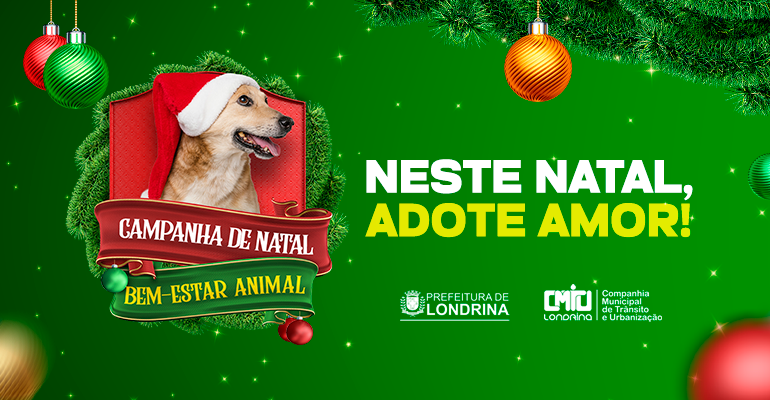 imagem sem descrição.