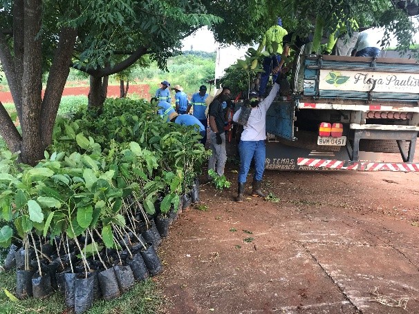 ctr recebimento mudas